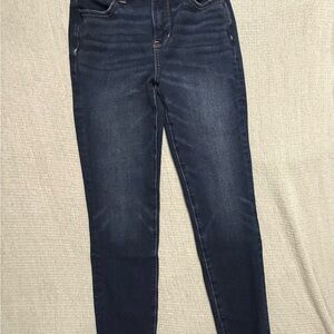 American Eagle Outfitters Dark Wash Skinny Jeans